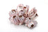 barnacle cluster